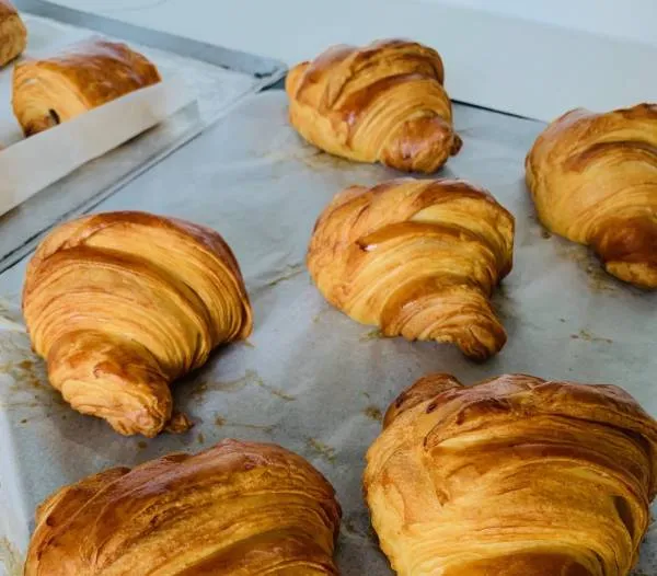 Recette Pâte levée feuilletée sur poolish 3h30 (PLF)